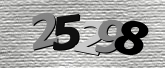 Captcha resmi
