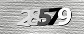 صورة التحقق