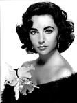 Elizabeth Taylor Sexy Vintage Photos