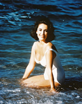 Elizabeth Taylor Sexy Vintage Photos