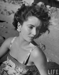 Elizabeth Taylor Sexy Vintage Photos