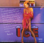 Pamela Anderson Vintage 1997 Calendar