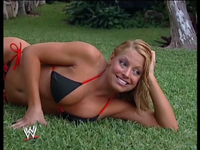 Trish Stratus Boobs Pics