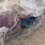 Salma Hayek Sexy Purple Swimsuit