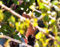 Nathalie Emmanuel Nude & Sexy Photos Collection