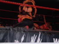 WWE Trish Stratus Sexy Mega Cum Tribute