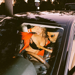 Julia Rose Nude & Sexy IG Mix