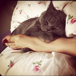 Turkish Celebrity Mine Tugay Feet