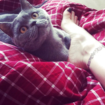 Turkish Celebrity Mine Tugay Feet