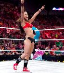 WWE Aj Lee Sexy Pics