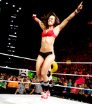 WWE Aj Lee Sexy Pics