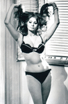 Sophia Loren Naked & Sexy Vintage Photos
