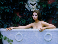 Sophia Loren Naked & Sexy Vintage Photos