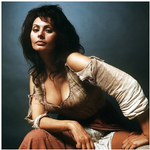 Sophia Loren Naked & Sexy Vintage Photos