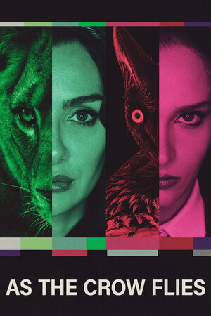 As the Crow Flies (Kus Uçusu)