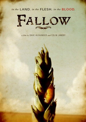 Fallo