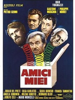 Amici miei