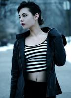 Cacia Rose