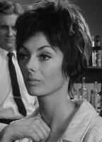 Dian Lloyd