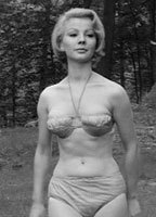 Lorraine Rogers