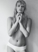 Stef Van Der Laan