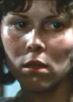 Donna Young