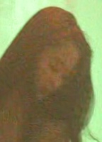 Hoang Nghi Nguen
