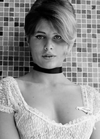 Donna Michelle