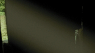 Roos van Erkel - Il bombardamento (2012)