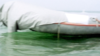 Edwige Fenech - Il vizio di famiglia