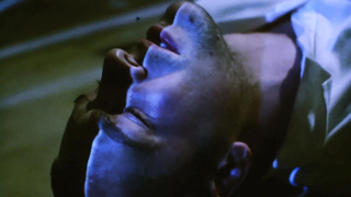 Kari Wuhrer - Le roi des fourmis