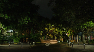 Naian Gonzalez Norvind, Maria Evoli, Martha Cristiana Merino, Ximena Romo - Amsterdam s01e01-10 (2022)