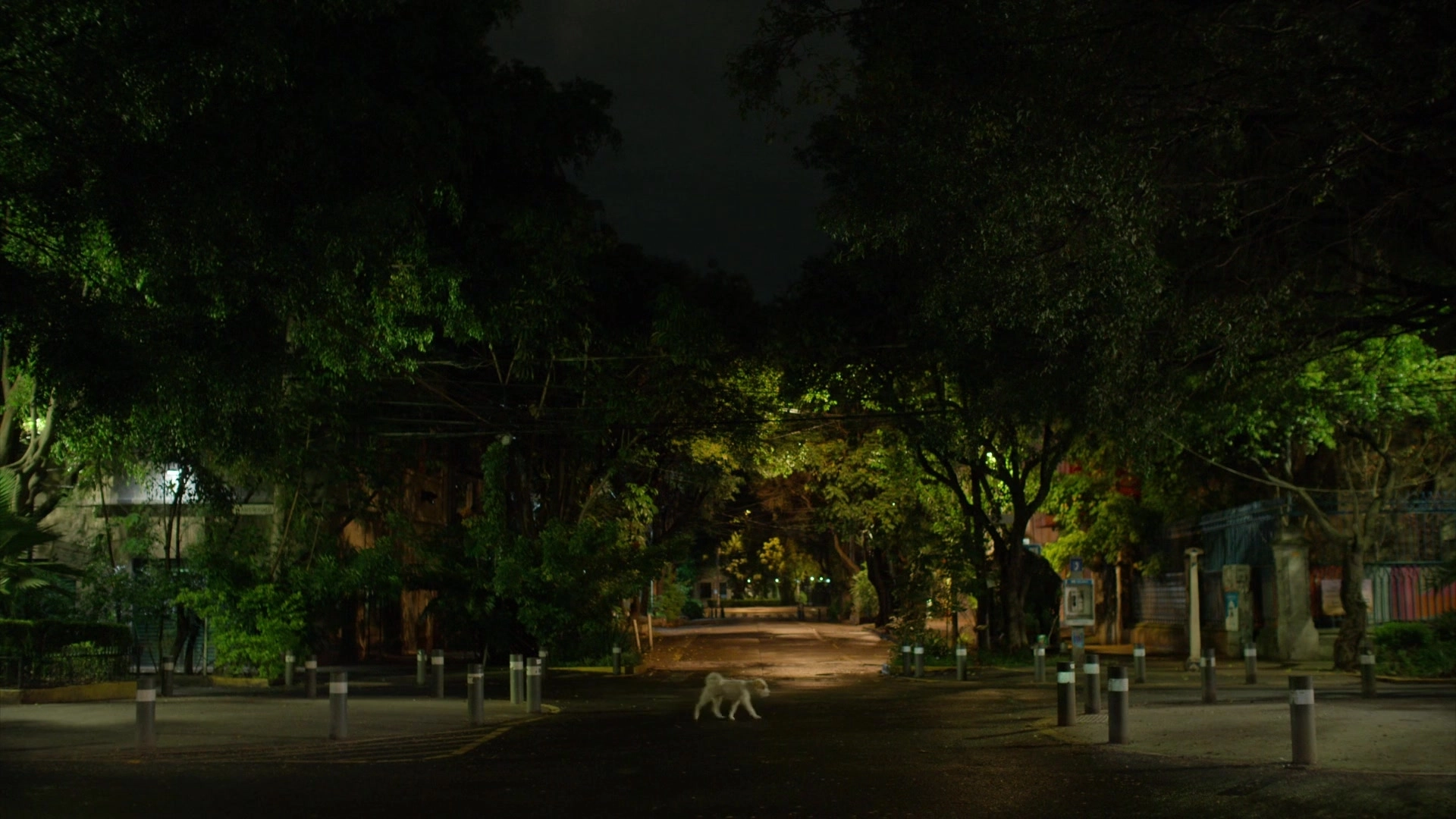 Naian Gonzalez Norvind, Maria Evoli, Martha Cristiana Merino, Ximena Romo -  Amsterdam s01e01-10 (2022)