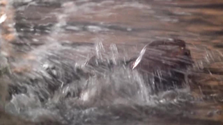 Beatrice Dalle, Corinne Touzet - La visione del sabba (1988)