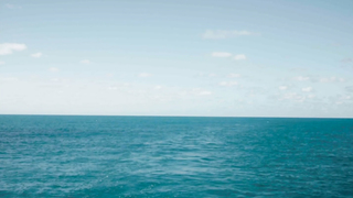 Victoria Guerra, Rita Wainer - Pedro, Between The Devil And The Deep Blue Sea (A Viagem De Pedro) (2022)