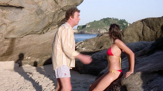 Michelle Johnson, Demi Moore – Blame It on Rio (1984)