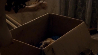 Rifka Lodeizen - Kan door huid heen (2009)