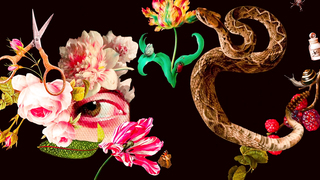 Ana María Orozco, Carolina Cuervo - Filthy Envy (Cochina Envidia) s01e01-06 (2022)