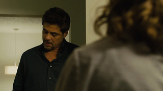 Emily Blunt - Sicario (2015)
