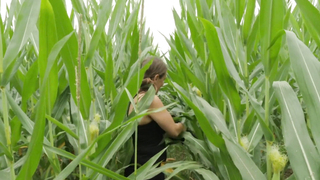 Rebecca Rinehart - أسماك قرش الذرة (2021)