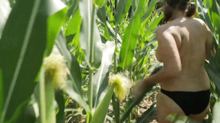 Rebecca Rinehart - Gli Squali del Grano (2021)