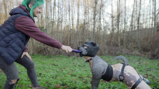 Mia Torro, Nimbus Canis - Doggone Dystopia (2021)