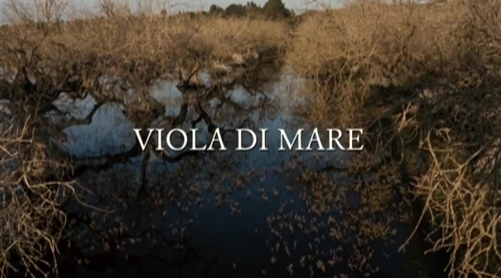 Valeria Solarino, Isabella Ragonese - Viola Di Mare (2009)