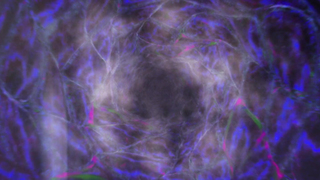 Bec Doyle - Bring Her to Me (2023)