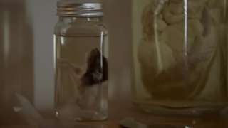 Rebecca Knox, RaSandra Daniels, Ellen Woomer, etc - Squealer (2023)