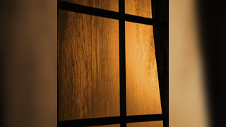 Brianne Cordaro, Cody Kennedy, etc - Fog City (2023) HD 1080p