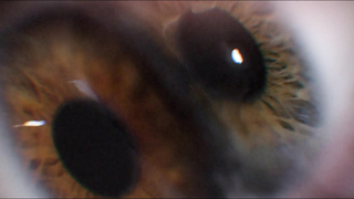 Anabelle LeMieux - Сложенный океан (2023) HD 1080p