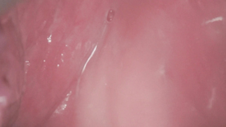 Marine Vacth - L'amant double (2017) HD 1080p