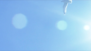 Avalon Barrie & Lyudmila Shiryaeva - Sappho (2008)