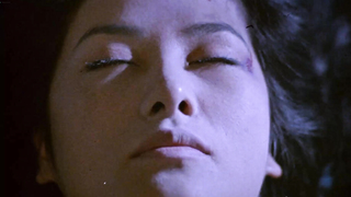 Usang Yeong Fang nude scenes in Dr. Lamb (HK-1992)